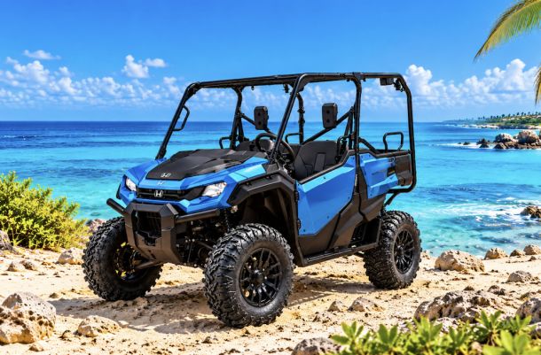 4 Seat UTV ARUBA Honda Pioneer
