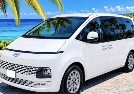 HYUNDAI STARIA ARUBA ( 12 personen )