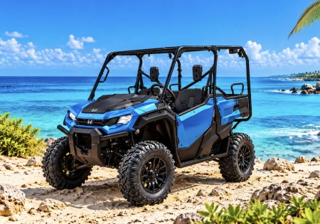 4 Seat UTV Honda Pioneer Aruba