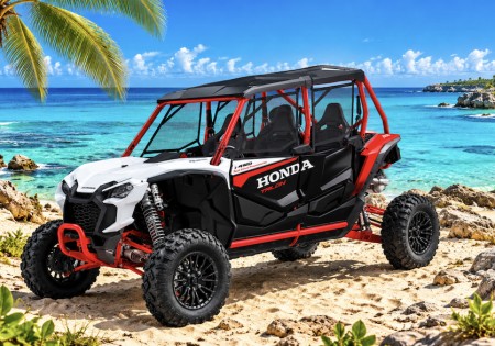 4 Seat UTV Honda Tallon Aruba